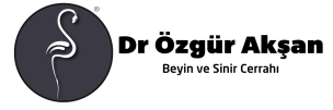Assoc. Prof. Özgür Akşan